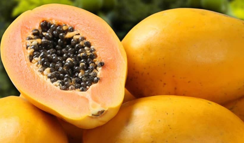 Papaya