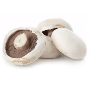 Flat White Mushroom (Each)