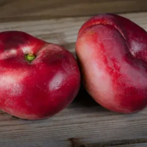 Flat Nectarine (Each)