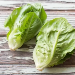 Gem Lettuce (Pkt)