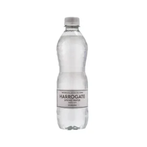 Sparkling Mineral Water Plastic Bottle 24 x 500ml