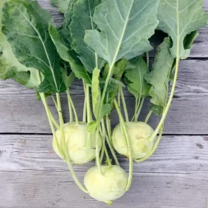 Kohlrabi (Each)