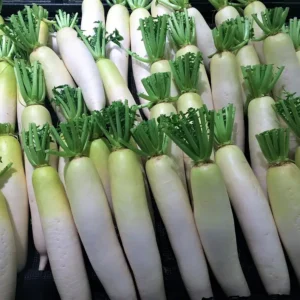 Mooli / Daikon (Each)