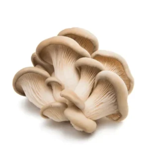 Oyster Mushroom (250g)
