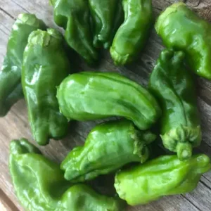 Padron Peppers (250g)