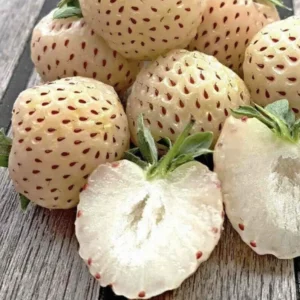 Pine Berry (Punnet)