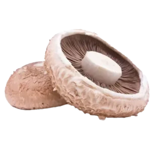Portobello Mushroom (Each)