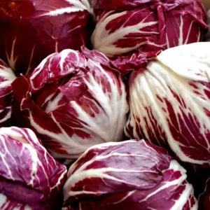 Radicchio (Each)