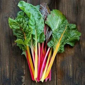 Rainbow Chard (Bunch)