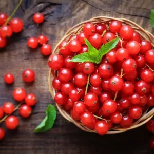 Red Currants (Punnet)