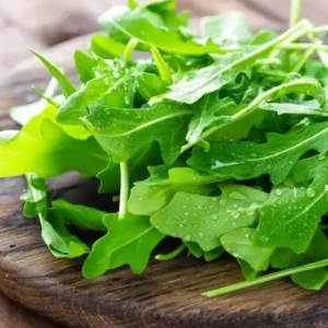 Roquette (Bag)