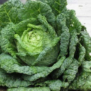 Savoy Cabbage (Each)
