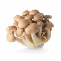 Shimeji Mushroom Brown (packet)