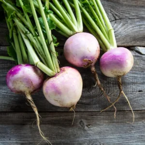 Turnip (Each)