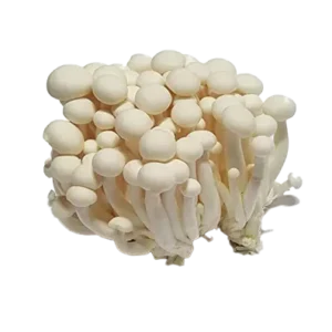 Shimeji Mushroom White (packet)