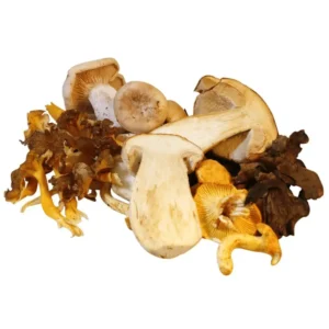Wild Mixed Mushroom (250g)