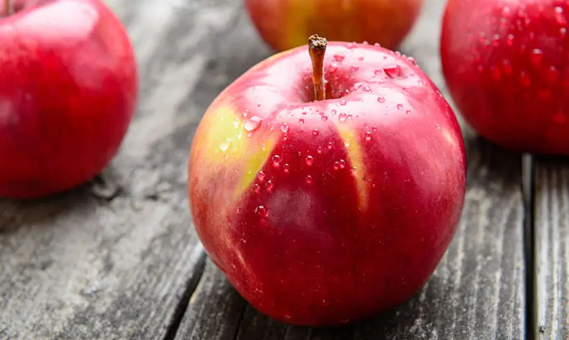 Fresh Apples