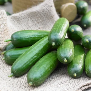 Baby Cucumber (Each)