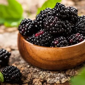 Blackberries