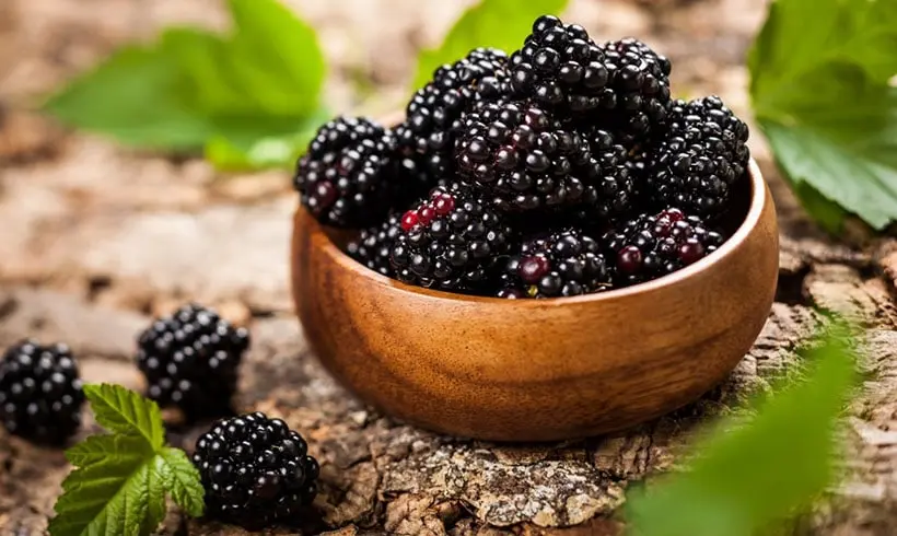 Blackberries