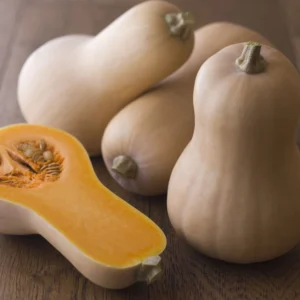 Butternut Squash (Each)
