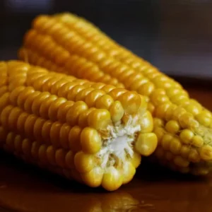 Corn on Cob (Each)