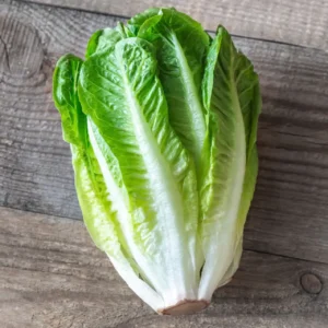 Romaine Lettuce (Each)
