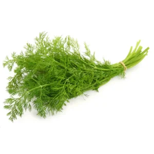 Dill
