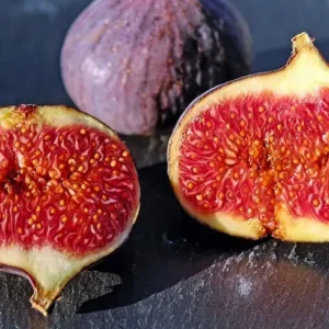Figs