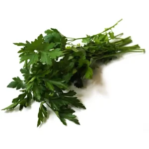 Flat Leaf Parsley