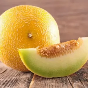 Galia Melon (Each)