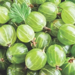 Gooseberry (Punnet)