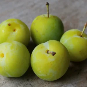 Greengage Plums (300g)