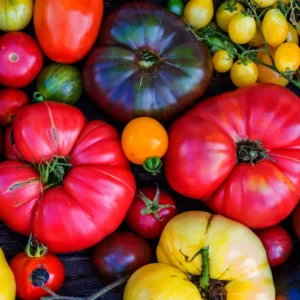 Heritage Heirloom Tomatoes (Each)