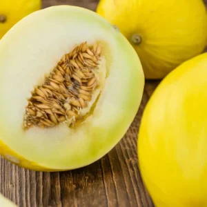 Honeydew Melon (Each)