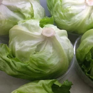 Iceberg Lettuce (Each)