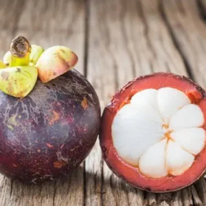Mangosteen