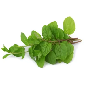 Mint