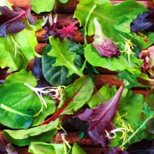 Mixed Babyleaf Salad (Bag)