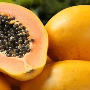 Papaya