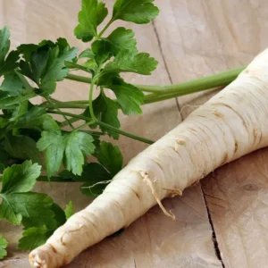 Horseradish (Per Root)