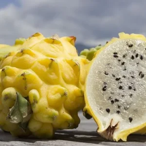 Pitaya
