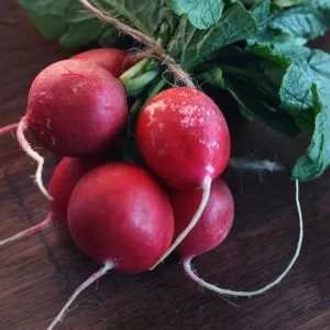 Radish (Bunch)